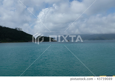 Amami Oshima補充道 43739089