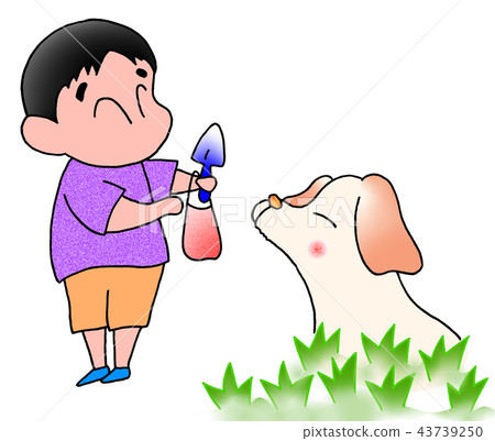 Animal protection 15 43739250