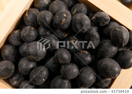 Beans black beans black soybeans grapes dried beans grains Beans black beans black soybeans grapes dried beans grains 43739419