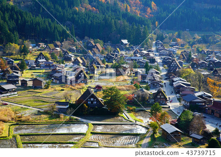 Shirakawago Gassho foliage Gifu Shirakawago Gassho foliage Gifu 43739715