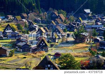 Shirakawago Gassho foliage Gifu Shirakawago Gassho foliage Gifu 43739719