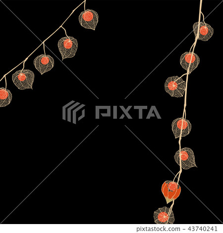 Hozuki Hozuki 43740241