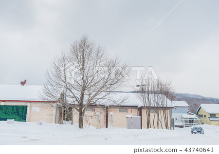北海道的雪景 43740641