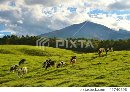 淺間山和牧場 淺間山和牧場 43740898