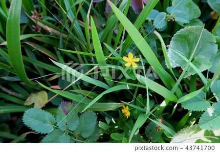 Tsukiyama Midurbahara Tohoku Yamagata Prefecture Tsukiyama Midurbahara Tohoku Yamagata Prefecture 43741700