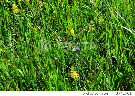 Tsukiyama Midurbahara Tohoku Yamagata Prefecture Tsukiyama Midurbahara Tohoku Yamagata Prefecture 43741701