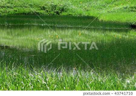 Tsukiyama Midurbahara Tohoku Yamagata Prefecture Tsukiyama Midurbahara Tohoku Yamagata Prefecture 43741710