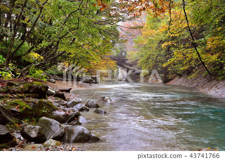Kinomatagawa Kinomatagawa 43741766