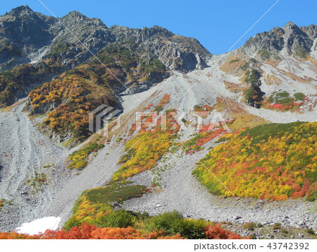 芹菜捲曲的北阿爾卑斯山脈，紅葉 43742392