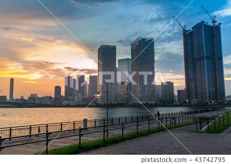 塔公寓小組和Toyosu公園,在夕陽中 塔公寓小組和Toyosu公園,在夕陽中 43742795