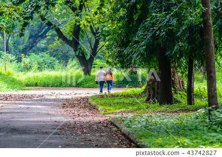 Happy married Cute couple walking in the park 43742827