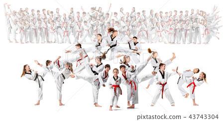 The collage about group of kids training karate martial arts The collage about group of kids training karate martial arts 43743304