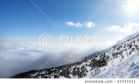 View from the snow covered mountain in winter 43743311