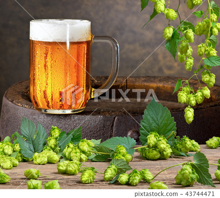 Glass of beer on the wooden barrel and hop cones. Glass of beer on the wooden barrel and hop cones. 43744471