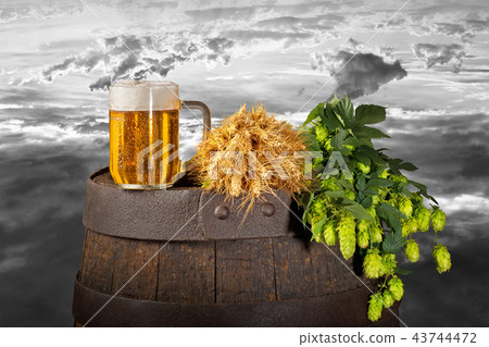 Still life with beer,hops and wheat 43744472