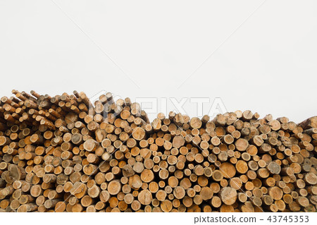 Pile of wood logs .Forest logging site. felled tree trunks. Pile of wood logs .Forest logging site. felled tree trunks. 43745353