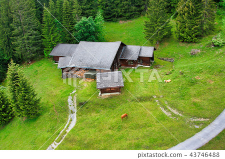Swiss houses Swiss houses 43746488