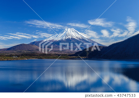 Mt. Fuji on Lake Motosu and Snow 43747533