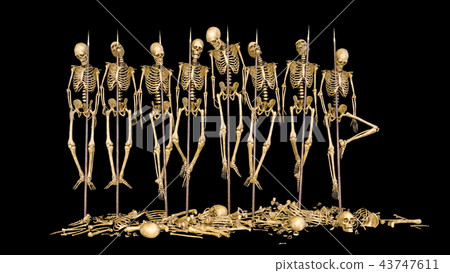 skeleton 43747611