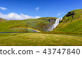 Skogafoss waterfall with rainbow, Iceland 43747840