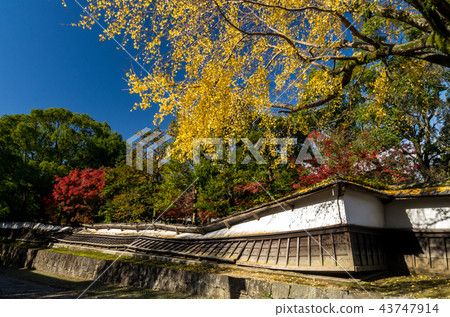 Old Hosokawa Imperial House 43747914