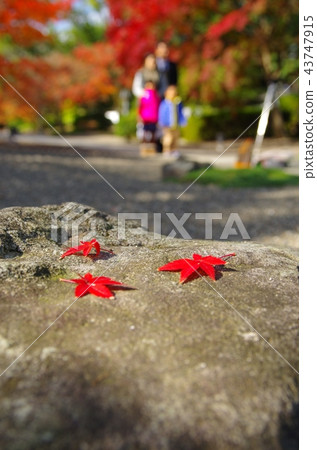 紀念攝影 43747915