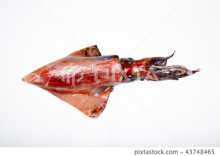 Red squid ingredients 43748465