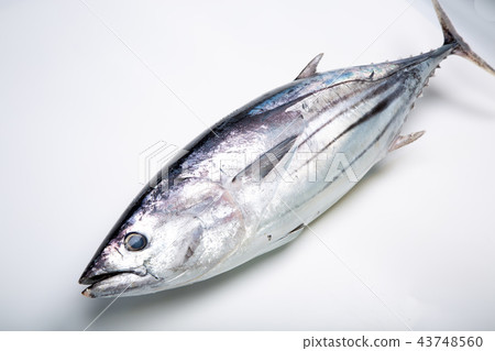 退貨 退貨 43748560