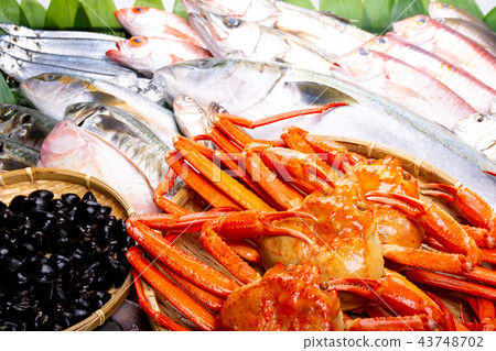 海鮮拼盤 43748702