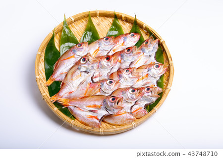 乾魚 43748710