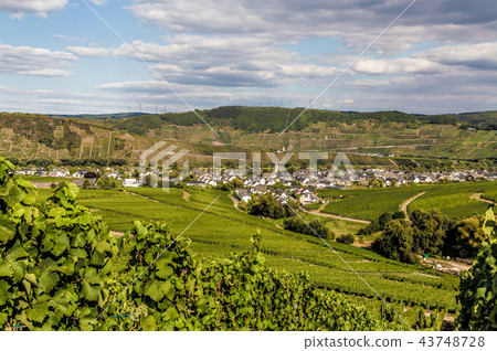 Leiwen on the Moselle Germany Leiwen on the Moselle Germany 43748728