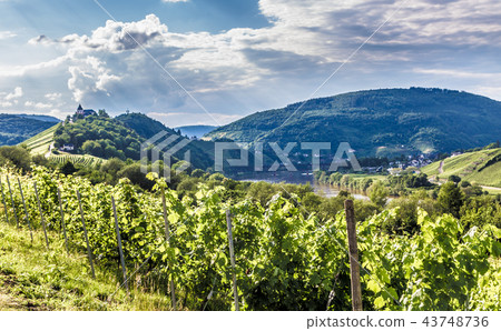 Marienburg on Prinzenkopf on the Mosel Germany 43748736
