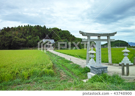 Okijima-mae / Nakanoshima Uhikagami Shrine 43748900
