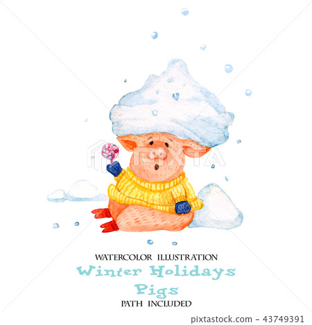 Winter fun pigs. Piglet with a snowdrift on head 43749391