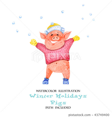 Winter fun pigs. Piggy throws snow 43749400