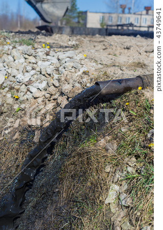 Oil product is poured directly on the grass Oil product is poured directly on the grass 43749641
