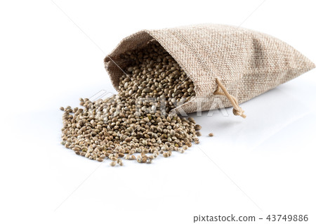 Cannabis Hemp seeds in sack on white 43749886