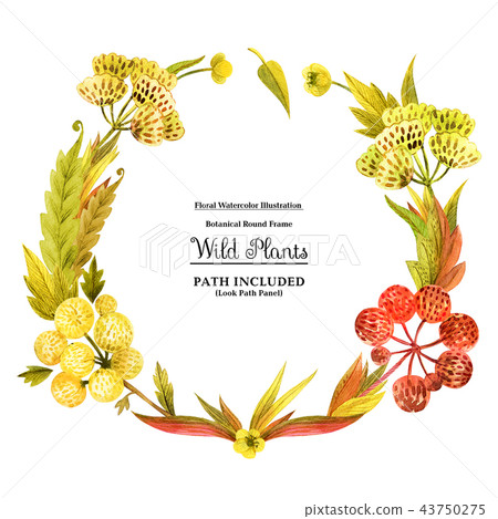 Yellow wild plants round frame for decoration - Stock Illustration ...