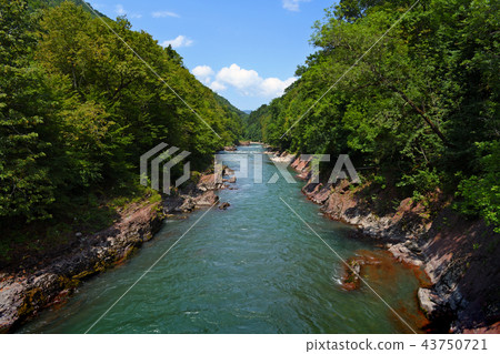 Mountain river in green forest Mountain river in green forest 43750721