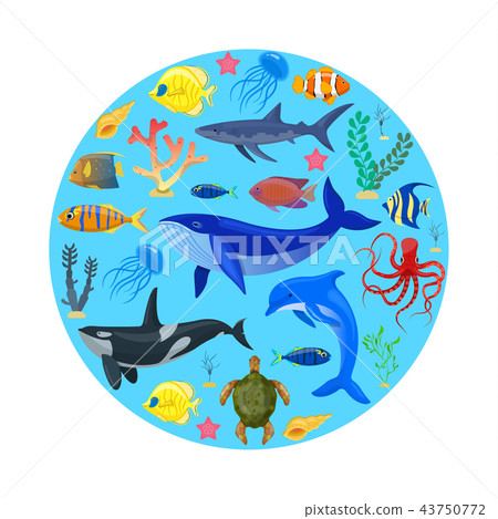 Ocean animals on blue background. Ocean animals on blue background. 43750772