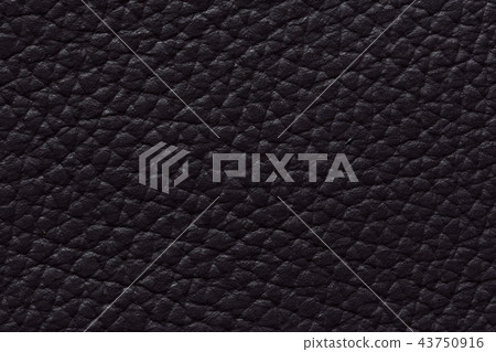Expensive leather texture in contrast dark colour. Expensive leather texture in contrast dark colour. 43750916
