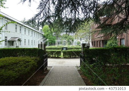Former Matsumoto High School Courtyard Agatanomori Park Matsumoto City Former Matsumoto High School Courtyard Agatanomori Park Matsumoto City 43751013