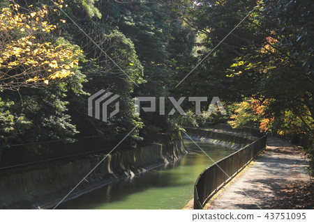 京都Yamashina琵琶湖春天 京都Yamashina琵琶湖春天 43751095