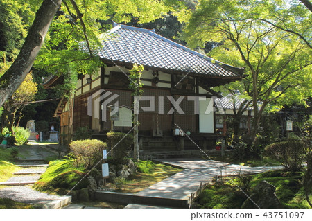 Kyoto Kiyoderaji Main Hall 43751097