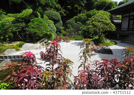 August Haito Hyundai 02 Report Kokuji Kamakura August Haito Hyundai 02 Report Kokuji Kamakura 43751512