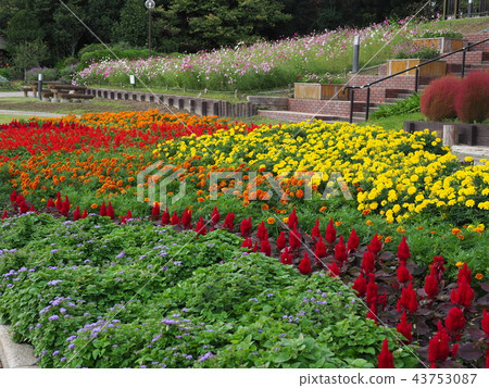 Hibikinada綠色空間綠色公園 Hibikinada綠色空間綠色公園 43753087