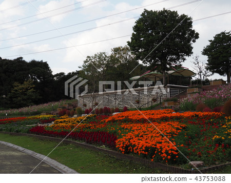 Hibikinada綠色空間綠色公園 43753088