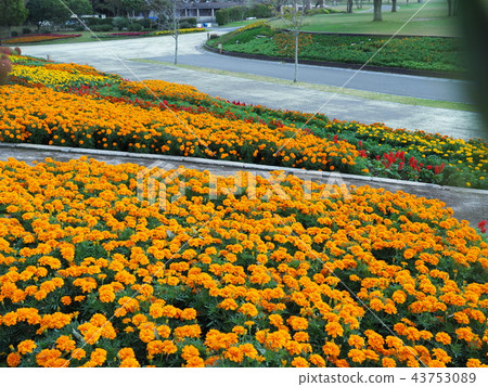 Hibikinada綠色空間綠色公園 Hibikinada綠色空間綠色公園 43753089