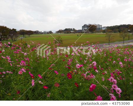Hibikinada綠色空間綠色公園 Hibikinada綠色空間綠色公園 43753090