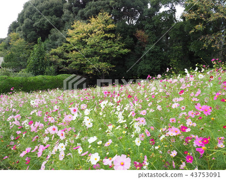 Hibikinada綠色空間綠色公園 Hibikinada綠色空間綠色公園 43753091
